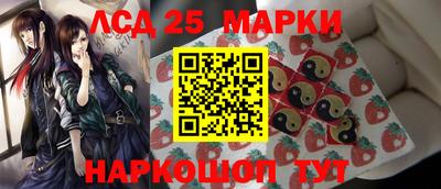 амф Можга