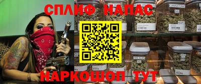 крисы Нальчик