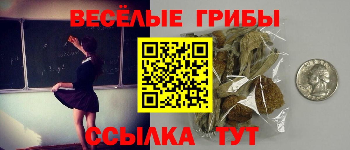 Тихвин  Псилоцибиновые грибы Psilocybe  Вход с VPN 